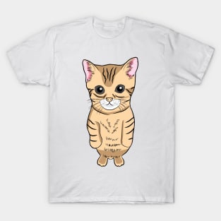 Cute Standing Cat Meme Cute Kitten Standing on Two Feet T-Shirt